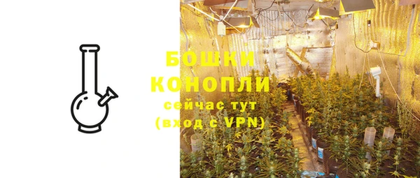 первитин Каменка