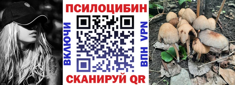 Псилоцибиновые грибы Cubensis  Рошаль 